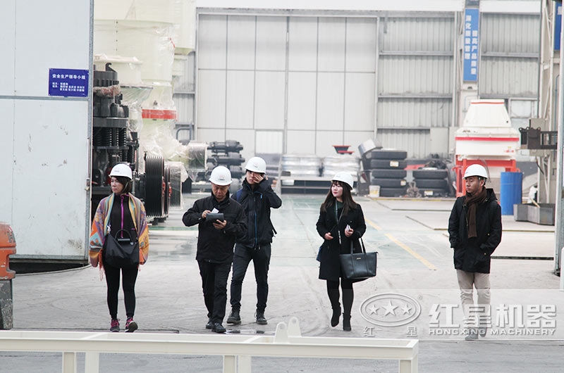 客戶到紅星廠區(qū)進(jìn)行參觀，并咨詢